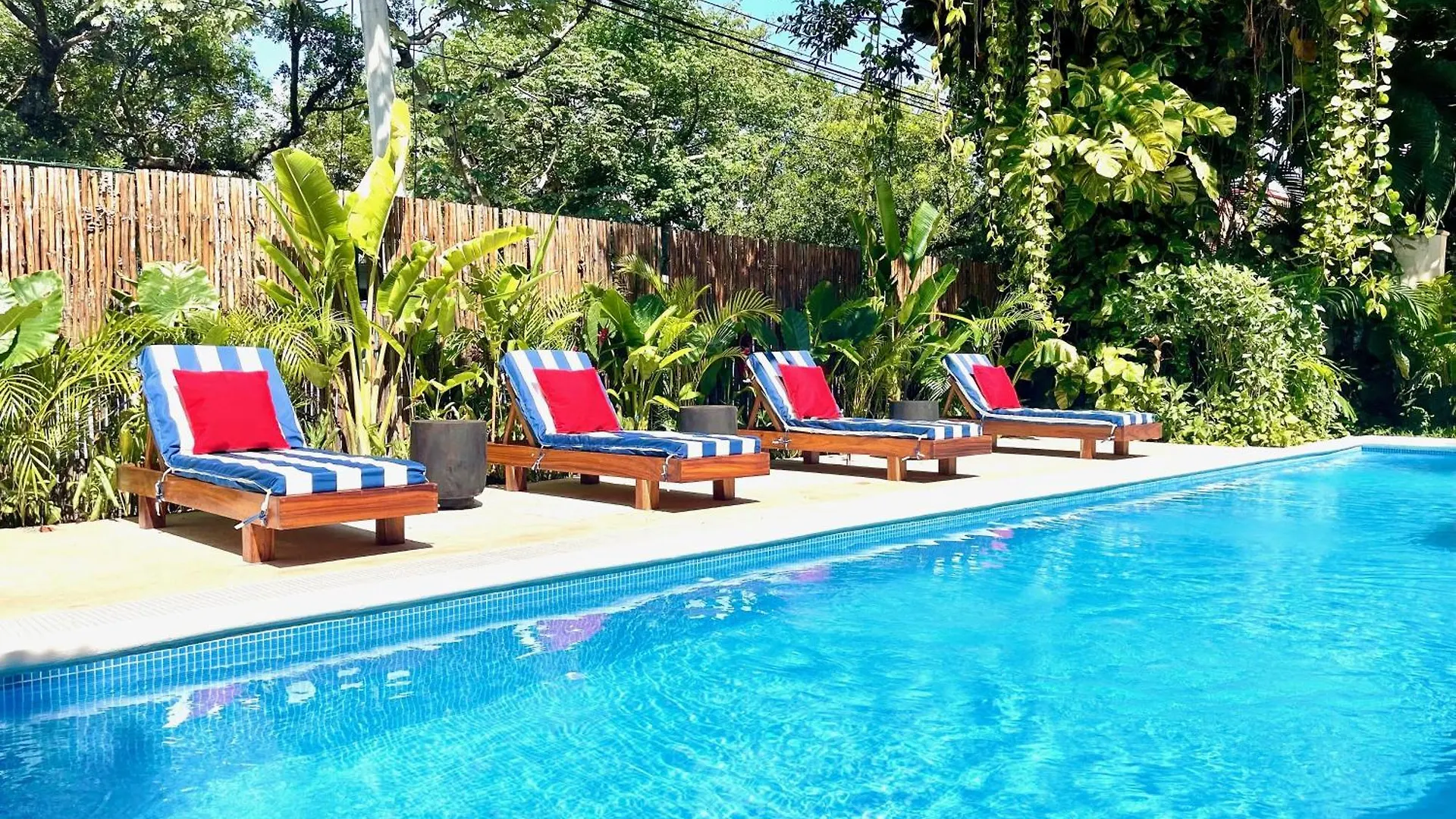 Penthouse Luxury Tendensa Apartment Playa del Carmen 0*,